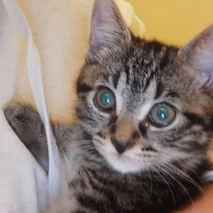 Meet your Posher, Teri-lyn